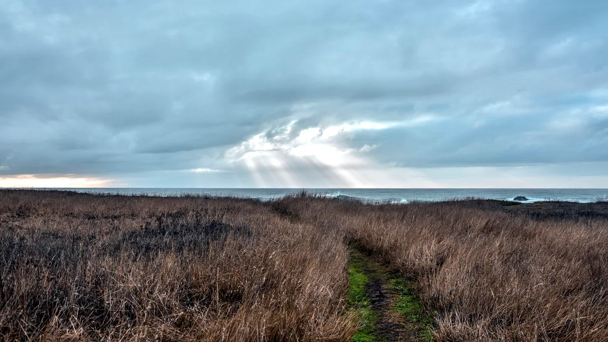 A dark storm front rolls over a wide plain and the wind bends the grass.