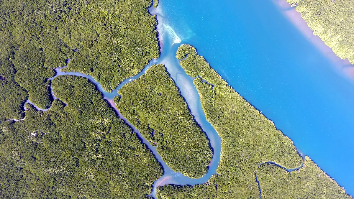An aerial shot follows a river delta as it fans into a grey green sea.