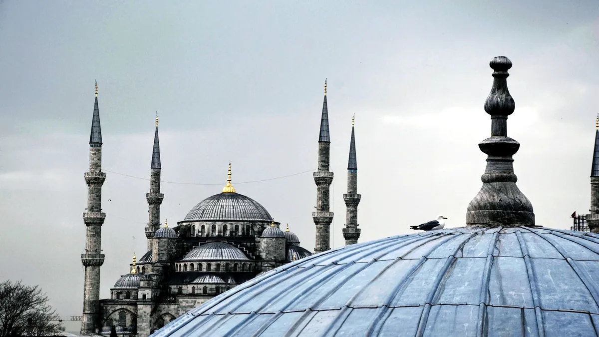 A mosque dome and tall minarets rise above the rooftops of Istanbul.